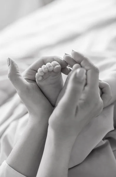 Les Mains Maman Tiennent Les Petites Jambes Mignonnes Nouveau Maison — Photo