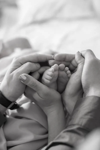 Las Manos Mamá Papá Sostienen Pequeñas Piernas Lindas Bebé Recién — Foto de Stock