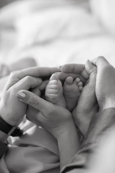 Mom Father Hands Holding Little Cute Legs Newborn Baby Home — Stock Photo, Image