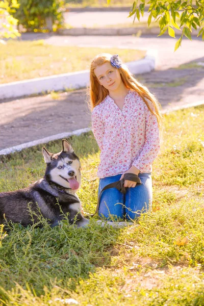 Χαριτωμένο Έφηβος Κορίτσι Κόκκινο Μακριά Μαλλιά Βόλτες Χάσκι Φυλή Σκυλί — Φωτογραφία Αρχείου