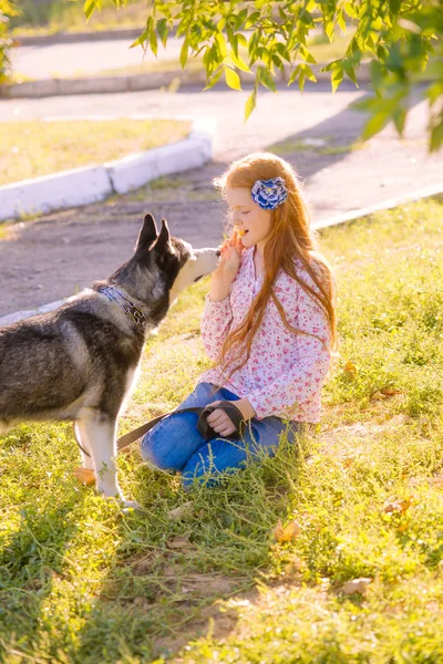 赤い長い髪を持つかわいい十代の女の子は 秋の公園で彼女のハスキー繁殖犬と一緒に歩きます 子供と犬秋の気分 — ストック写真