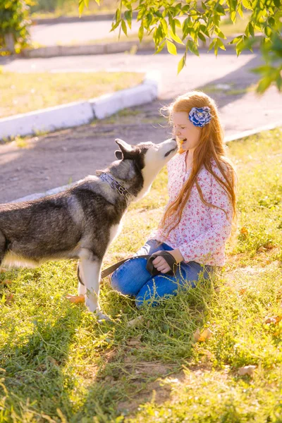 Linda Chica Adolescente Con Pelo Largo Rojo Pasea Con Perro — Foto de Stock