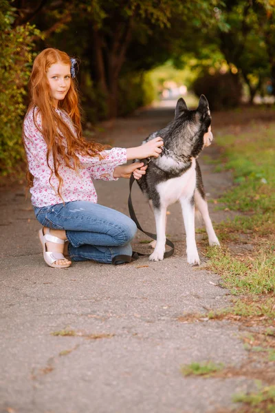 Linda Chica Adolescente Con Pelo Largo Rojo Pasea Con Perro —  Fotos de Stock