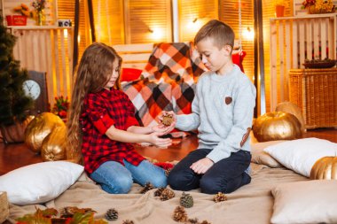 Uzun saçlı sevimli küçük kız kardeşi ve kabak ve plaids ile sonbahar sahne bir ağabey stüdyoda oynamak