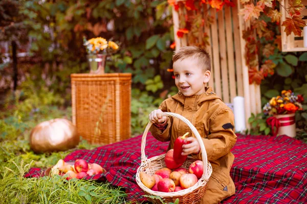 Cute boy in autumn clothes in autumn park with a basket of apples. Autumn mood. Healthy food