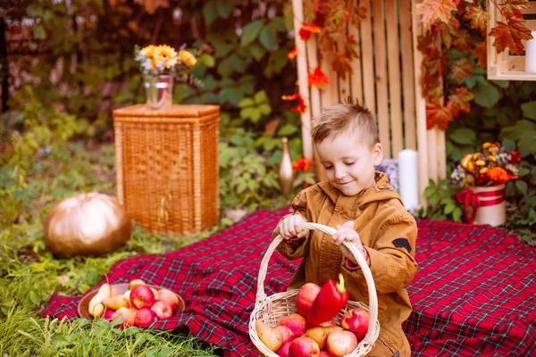 秋の公園でリンゴのバスケットと一緒に秋の服でかわいい男の子 秋の気分 健康食品 — ストック写真