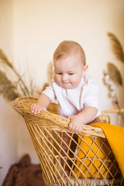 木製のロデントとリードの耳を持つ茶色のジーンズのウィッカーチェアの家で小さなかわいい幼児 エコ素材 エコスタイル — ストック写真