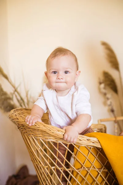 木製のロデントとリードの耳を持つ茶色のジーンズのウィッカーチェアの家で小さなかわいい幼児 エコ素材 エコスタイル — ストック写真