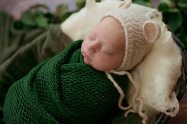 戴着便帽的可爱的小宝宝躺在一个柳条篮里 绿色毛毯上有绿叶和苹果 秋天的心情 快乐健康的童年 — 图库照片