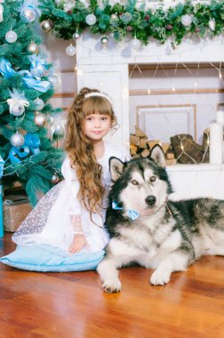 Noel ağacının yanında beyaz balo elbisesi içinde uzun saçlı tatlı bir kız. Yanında da hediyeler ve gümüş konfetiyle Malamute cinsinden bir köpek var. Noel havası