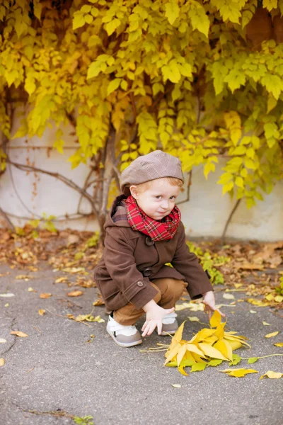 Χαριτωμένο Αγοράκι Ξανθά Μαλλιά Καφέ Παλτό Και Καπέλο Κίτρινα Φύλλα — Φωτογραφία Αρχείου
