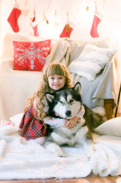 Χαριτωμένο Κορίτσι Μακριά Μαλλιά Ένα Σκυλί Φυλή Malamute Στο Δωμάτιο — Φωτογραφία Αρχείου