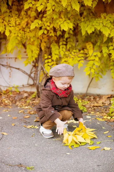 Netter Kleiner Junge Mit Blonden Haaren Braunen Mantel Und Einer — Stockfoto