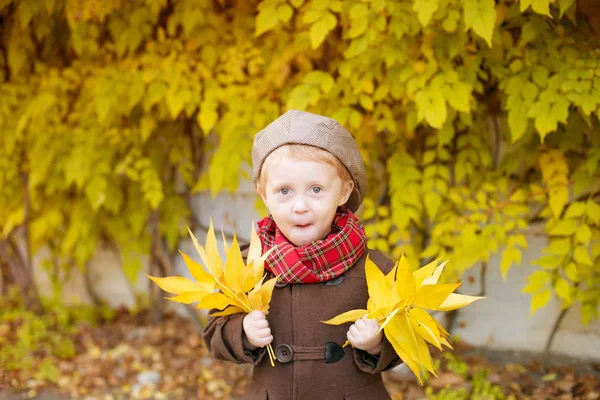 Cute Little Boy Blond Hair Brown Coat Cap Yellow Leaves — Stock Photo, Image