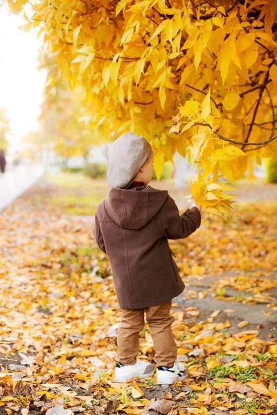 Lindo Niño Con Pelo Rubio Abrigo Marrón Una Gorra Con —  Fotos de Stock