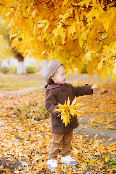 Lindo Niño Con Pelo Rubio Abrigo Marrón Una Gorra Con —  Fotos de Stock