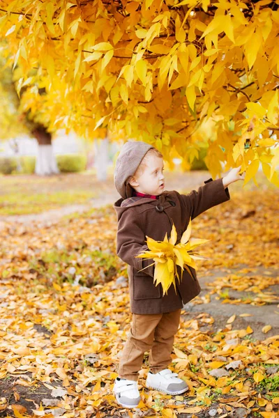 秋天的公园里 一个可爱的小男孩 金发碧眼 头戴棕色外套 手里拿着一顶黄色叶子的帽子 秋天的心情 快乐的童年 — 图库照片