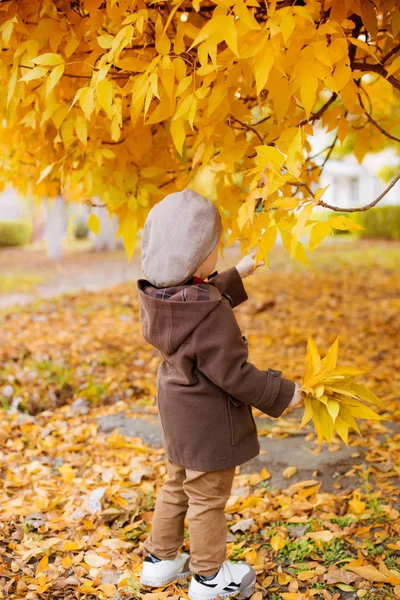 Ragazzino Carino Con Capelli Biondi Cappotto Marrone Berretto Con Foglie — Foto Stock