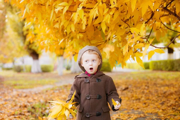 Lindo Niño Con Pelo Rubio Abrigo Marrón Una Gorra Con —  Fotos de Stock