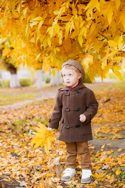 Sarı Saçlı Kahverengi Ceketli Elinde Sarı Yapraklı Bir Şapkayla Sonbahar — Stok fotoğraf