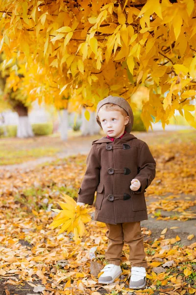 Милый Маленький Мальчик Светлыми Волосами Коричневом Пальто Кепкой Жёлтыми Листьями — стоковое фото