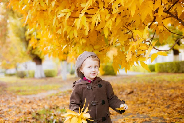 Cute Little Boy Blond Hair Brown Coat Cap Yellow Leaves — Stock Photo, Image