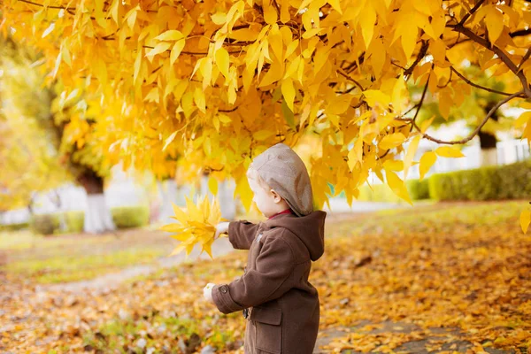 秋天的公园里 一个可爱的小男孩 金发碧眼 头戴棕色外套 手里拿着一顶黄色叶子的帽子 秋天的心情 快乐的童年 — 图库照片