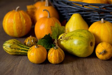 Koyu ahşap arka planda farklı şekillerde sarı, sulu balkabakları. Sonbahar yazı tahtası. Mutlu Cadılar Bayramı