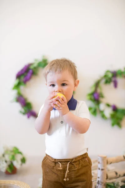 Мальчик Весенней Студии Украшенной Лиловыми Цветами Лимонами Цветущая Весна — стоковое фото