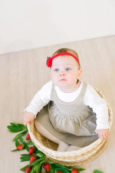 Petite Fille Mignonne Dans Panier Osier Décoré Fraises Rouges Juteuses — Photo