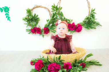 Marsala renginde bir elbise içinde sepetin içinde şakayıklı şirin bir kız oturuyor. Bahar ve çiçekler. Çocuk modası