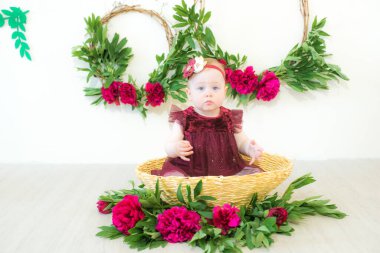 Marsala renginde bir elbise içinde sepetin içinde şakayıklı şirin bir kız oturuyor. Bahar ve çiçekler. Çocuk modası