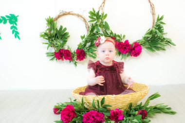 Marsala renginde bir elbise içinde sepetin içinde şakayıklı şirin bir kız oturuyor. Bahar ve çiçekler. Çocuk modası