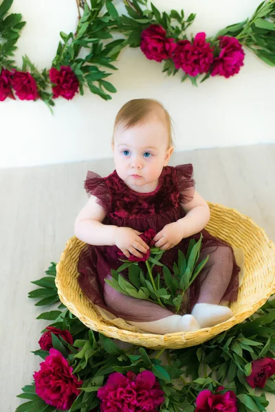 Malá Roztomilá Dívka Rok Šatech Barvy Marsala Sedí Proutěném Koši — Stock fotografie