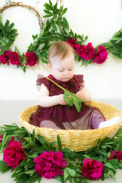 Little Cute Girl Year Old Dress Color Marsala Sits Wicker — Stock Photo, Image