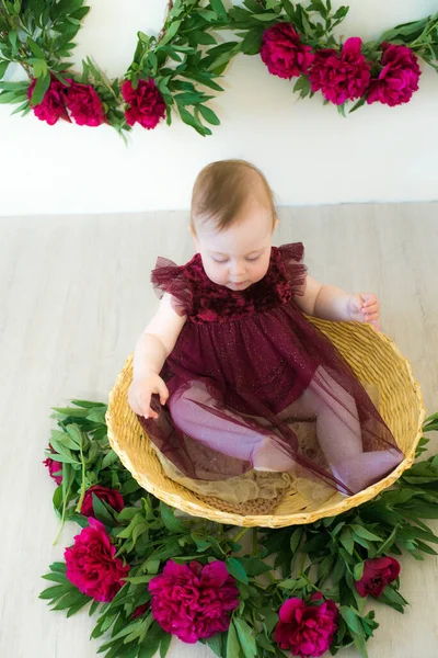 Malá Roztomilá Dívka Rok Šatech Barvy Marsala Sedí Proutěném Koši — Stock fotografie