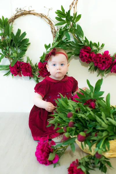 Little Cute Girl Year Old Dress Marsala Color Wicker Basket — Stock Photo, Image