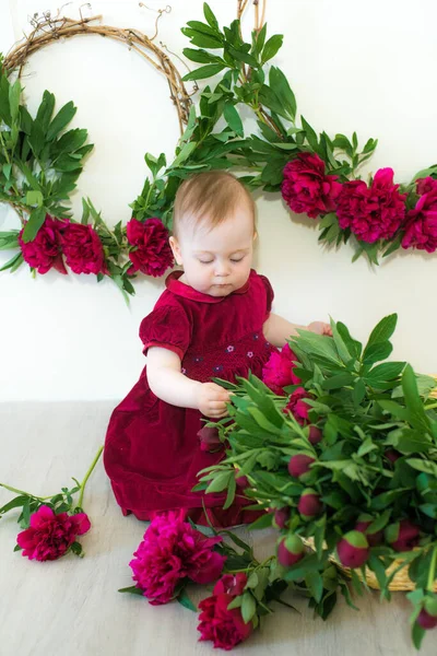 Little Cute Girl Year Old Dress Marsala Color Wicker Basket — Stock Photo, Image