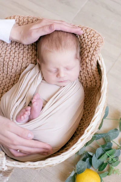Mom Hands Hold Baby Lies Wicker Basket Decorated Greens Lemons — Stock Photo, Image