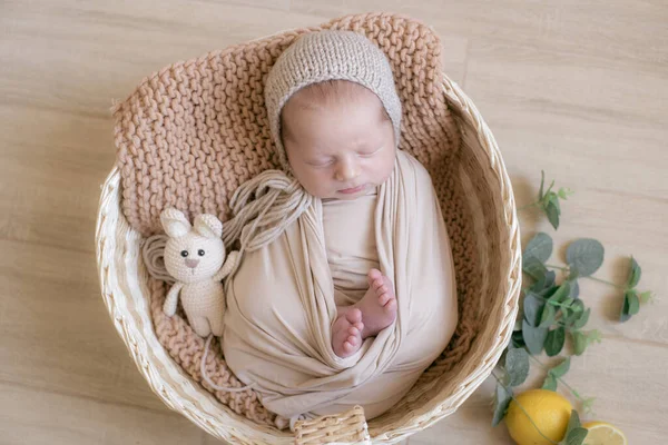 Cute Little Baby Dzianiny Kapelusz Króliczkiem Zabawka Leży Wiklinowym Koszu — Zdjęcie stockowe