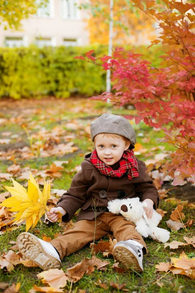 Ragazzino Carino Cappotto Autunnale Cappello Gioca Parco Autunnale Con Foglie — Foto Stock