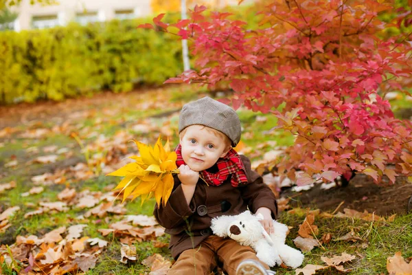 Маленький Милый Мальчик Осеннем Пальто Кепке Играет Осеннем Парке Желтыми — стоковое фото