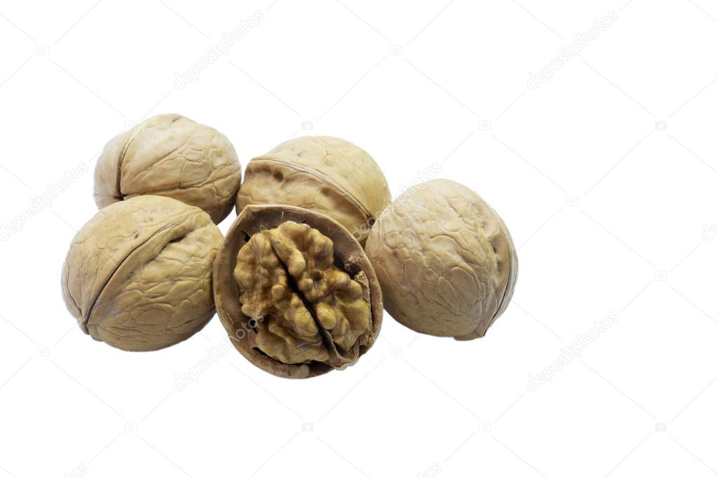 Chopped walnut and whole walnuts on white background