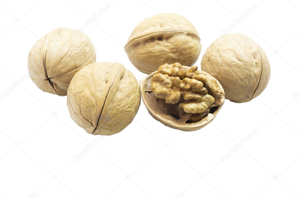 Chopped walnut and whole walnuts on white background