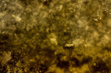 Makroda kırmızı degrade arka planı