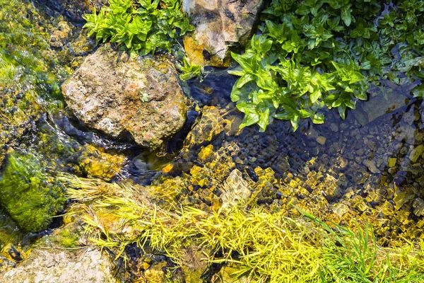 石头背景上的清洁泉水 — 图库照片
