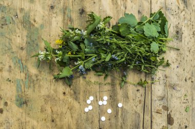 Bitkisel tıp, alternatif tıp ve homeopati