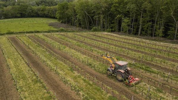 Aerial Shot Tractor Working Vineyard Bordeaux France — Stock Photo, Image