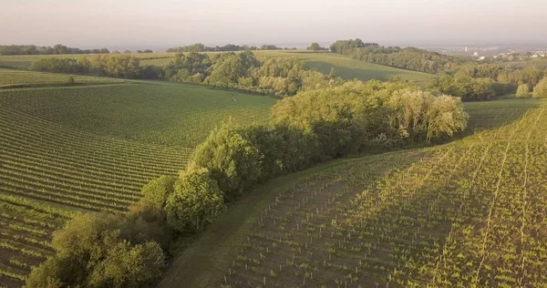 Bordeaux Vinice Entre Deux Mers Aquitaine Rozlohy Departementu Gironde Letecký — Stock fotografie