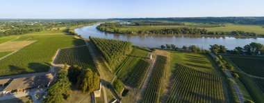 Aerial view bordeaux vineyard, landscape vineyard south west of france, europe clipart